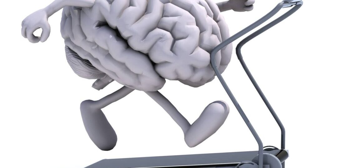 A gray brain on a gray treadmill